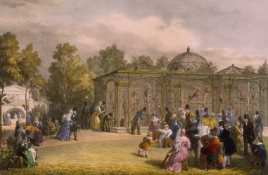 Das Affenhaus im Zoologischen Garten, Regent