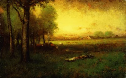 Kühe beim Weiden bei Sonnenuntergang