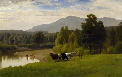 Weideland, 1867