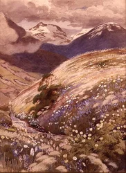 Alpenblumen