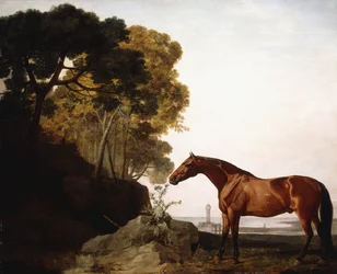 Ein Araber in einer Küstenlandschaft, 1779