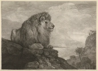 Ein Löwe [Ein Löwe ruht auf einem Felsen]