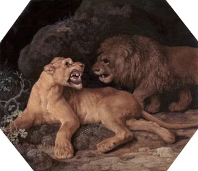 Löwe und Löwin, 1770