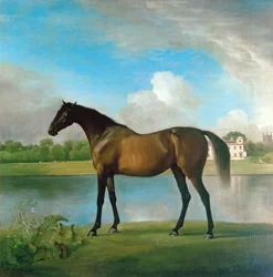 Lord Bolingbrokes Zuchtstute im Park von Lydiard, Wiltshire, ca. 1764-66