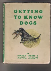 Vorderseite Kennenlernen von Hunden