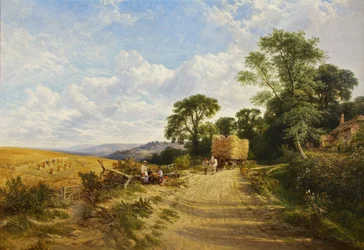 Landschaft - Erntezeit