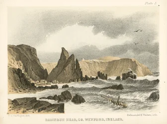 Baginbun Head, Co Wexford, Irland