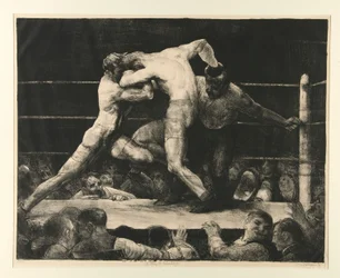 Ein Hirsch bei Sharkey