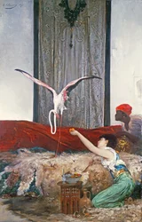 Der Haustier-Flamingo