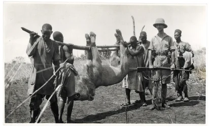Löwe am Bahr el Ghazal, Am Dafok, 1925