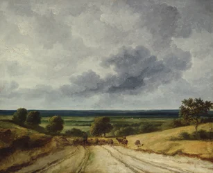 Straße auf dem Land