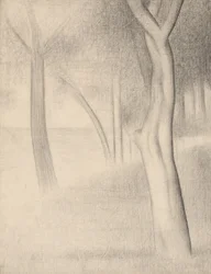 Bäume (Studie für La Grande Jatte)