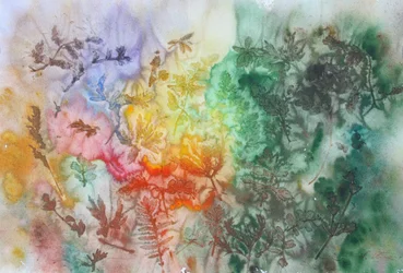 Lebendiger Botanischer Regenbogen
