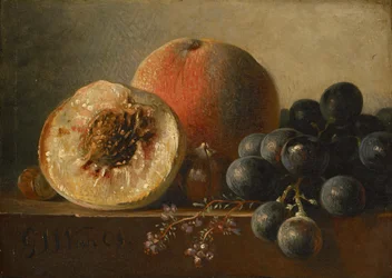 Früchte