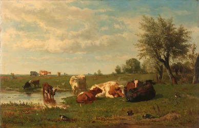 Kühe auf der Wiese