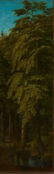 Ansicht in einem Wald, um 1505-1515