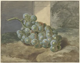 Trauben