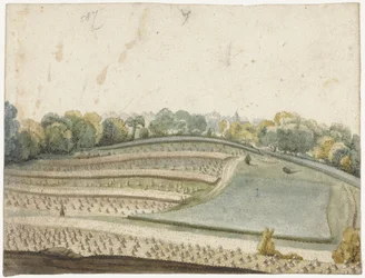 Panorama eines welligen Getreidefeldes von oben gesehen