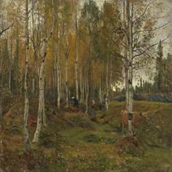 Birken im Herbst