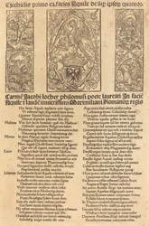 Allegorie des Adlers und Kaiser Maximilian I.