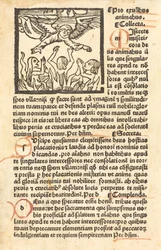 Fegefeuer