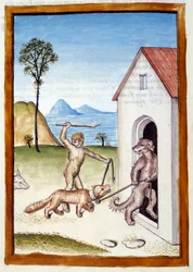 Ein Hund und ein Affe tyrannisieren ein Wiesel. Tiere in männlicher Haltung dargestellt