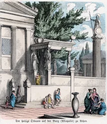 Alte Geschichte. Griechenland. Der heilige Olivenbaum auf der Akropolis (Gravur)