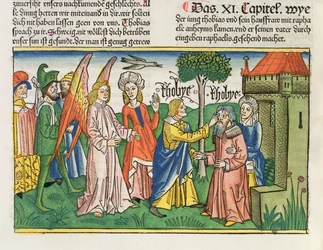 Apokryphen: Tobias stellt mit der Galle eines Fisches das Augenlicht seines Vaters Tobit wieder her, aus der Nürnberger Bibel (Biblia Sacra Germanica)