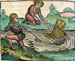 Fangen eines Löwenwels-Monsters, veröffentlicht in der Nürnberger Chronik, 1493