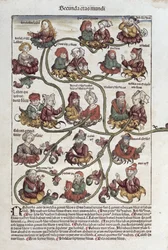 Genealogischer Baum von Laban, aus 