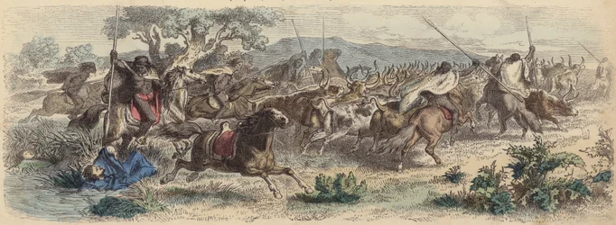 Indianer überraschen Gauchos auf den Pampas und stehlen ihre Rinderherde