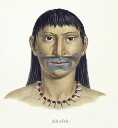 Einheimischer Mann des Arara-Stammes mit blauer Gesichtsbemalung, aus Atlas einer Reise in Brasilien von Johann Baptist von Spix (1781-1826) und Karl Friedrich Philipp Martius (1794-1868), veröffentlicht ca. 1835-50