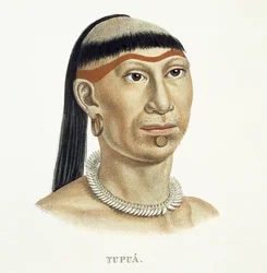 Einheimischer Mann des Yupua-Stammes mit gezupften und rasierten Haaren und einer Halskette aus Tierzähnen, aus Atlas einer Reise in Brasilien von Johann Baptist von Spix (1781-1826) und Karl Friedrich Philipp Martius (1794-1868)