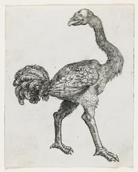 Strauß