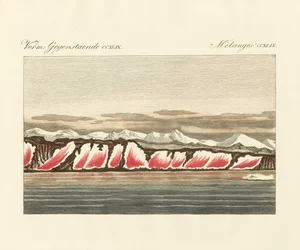 Rot gefärbter Schnee