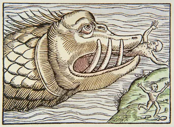 Seemonster verschlingt menschliches Opfer