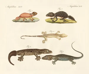 Seltsame Dinosaurier