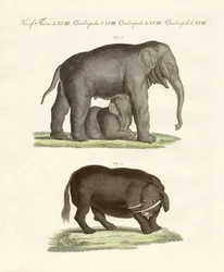 Seltsame vierfüßige Tiere