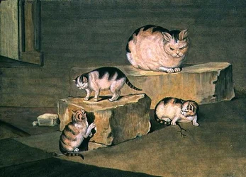 Studie von Katzen