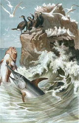 Schwertfisch, Tafel aus "Brehms Tierleben: Allgemeine Kunde des Tierreichs", Bd.8, S.78, veröffentlicht vom Bibliographischen Institut