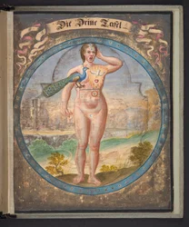 Darstellungen des Menschen in drei verschiedenen Zuständen