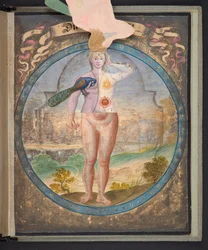 Tafeln, die den Menschen in drei verschiedenen Zuständen darstellen