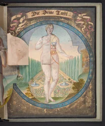 Darstellungen des Menschen in drei verschiedenen Zuständen, Add MS 5788