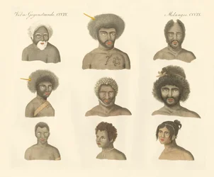 Die Papua