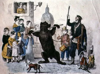 Der tanzende Bär