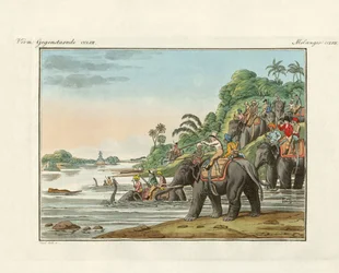 Tigerjagd auf einem indischen Fluss