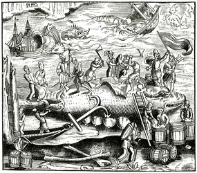 Walfang, nach einem Holzschnitt in Cosmographie Universelle von Munster, veröffentlicht 1552