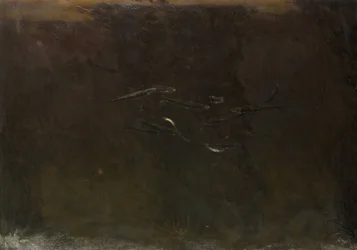 Fische in einem Aquarium