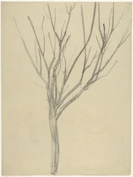 Kale Baum