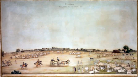 ?Dhana Colonel Skinners Farm?, 1828